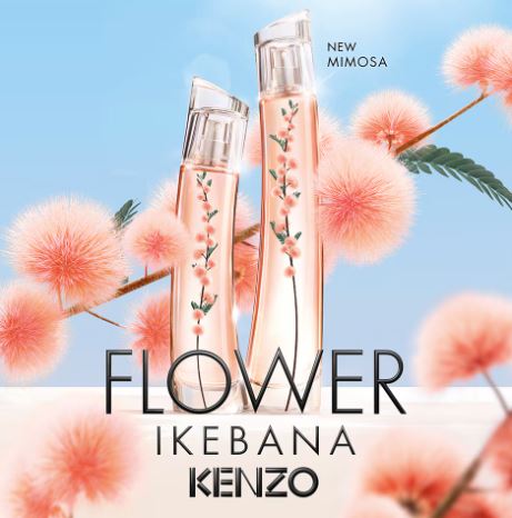 FLOWER IKEBANA MIMOSA EDP